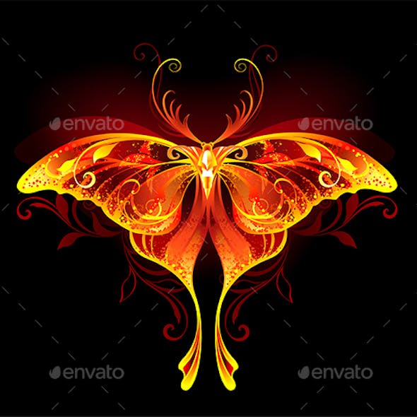 Fire Moon Butterfly
