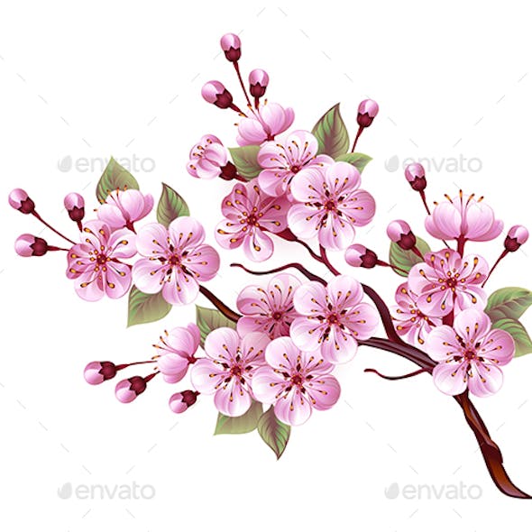 Pink Sakura Blossom Branch