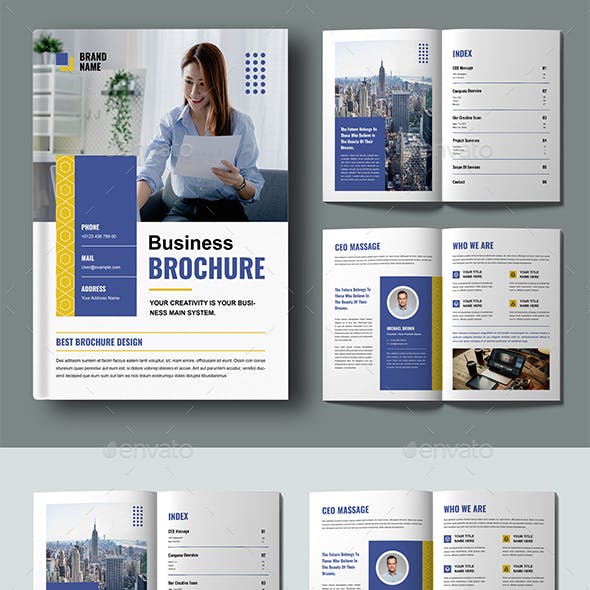 Professional Business Brochure