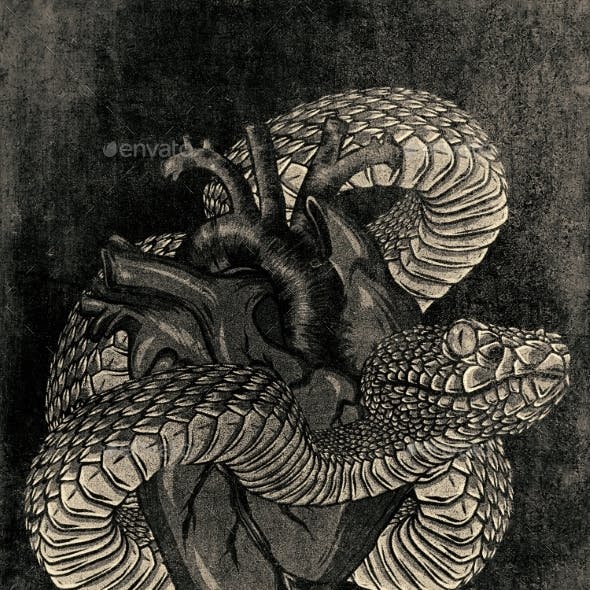 Viper Snake