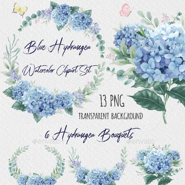 Watercolor Collection of Blue Hydrangea Flowers